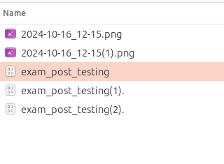 Duplicate File Handling
